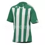 Camiseta del club 